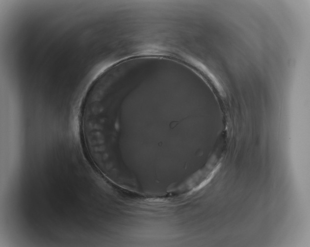 X0000102481463200808151439