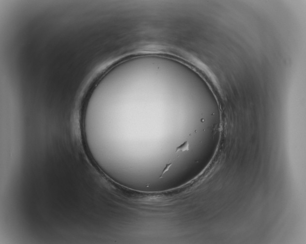 X0000102481464200808151439