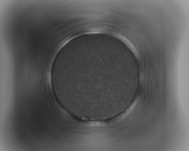 X0000102481465200808151439