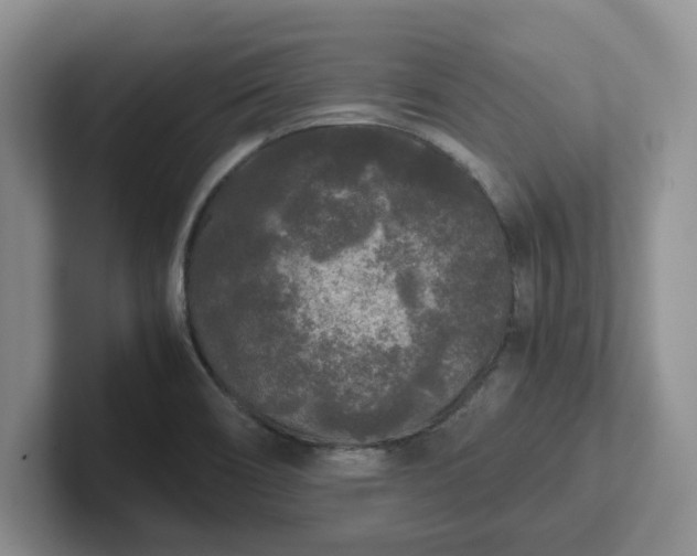 X0000102481466200808151439