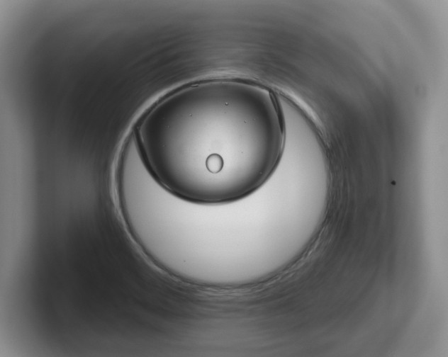 X0000102481468200808151439