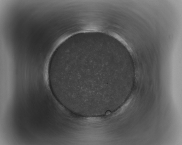 X0000102481469200808151439