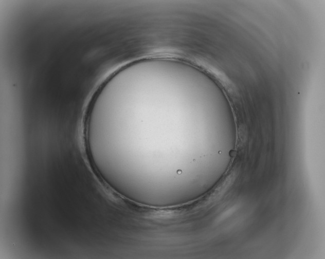 X0000102481470200808151439