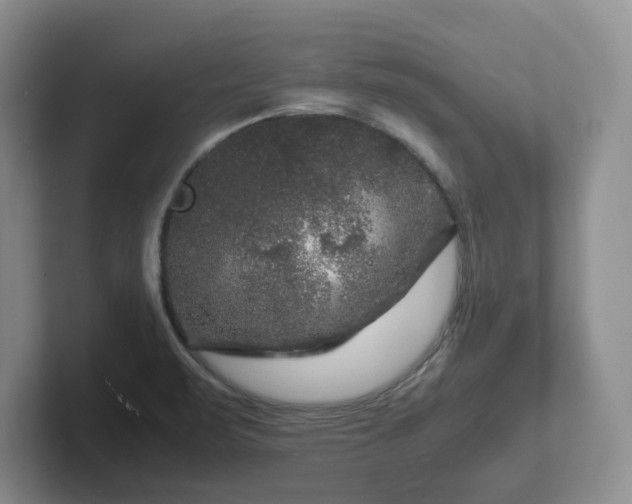 X0000102481471200808151439