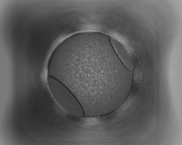 X0000102481472200808151439