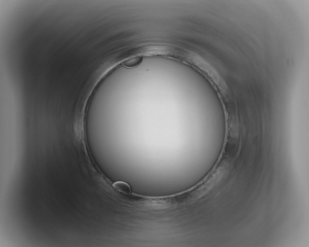 X0000102481473200808151439