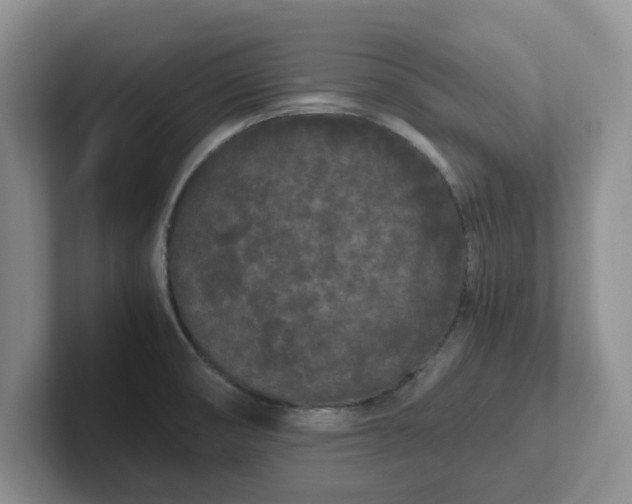 X0000102481474200808151439