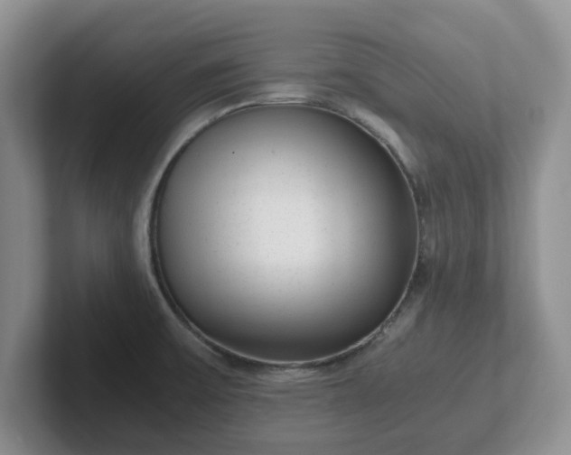 X0000102481475200808151439