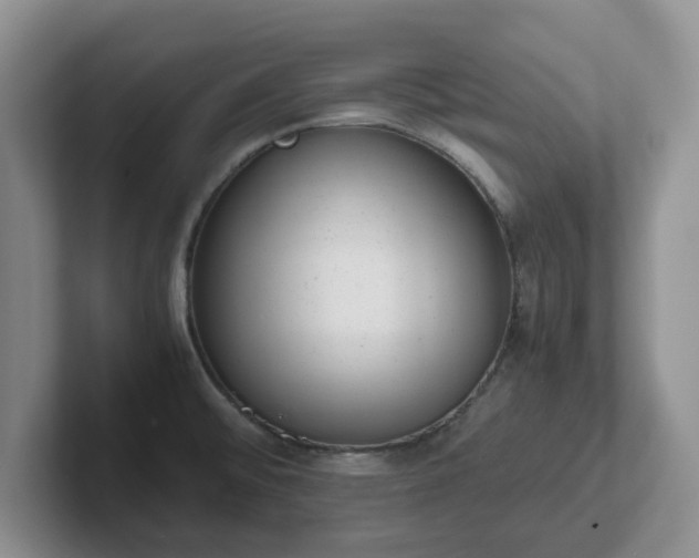 X0000102481476200808151439