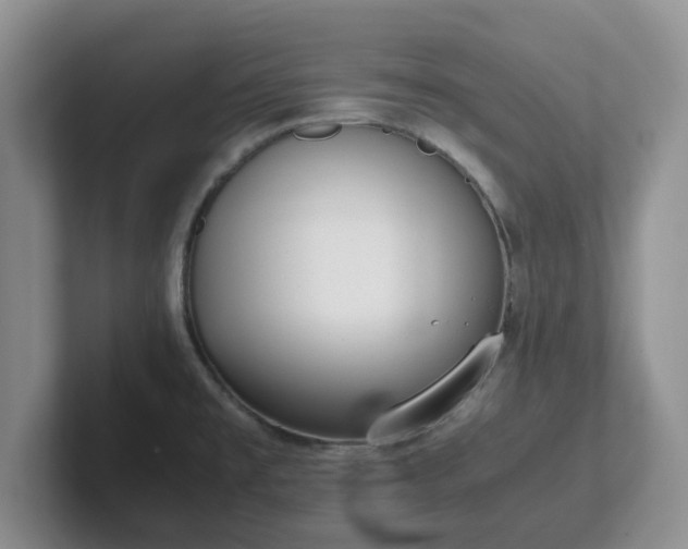 X0000102481477200808151439