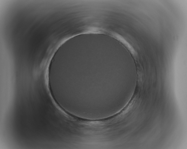 X0000102481479200808151439