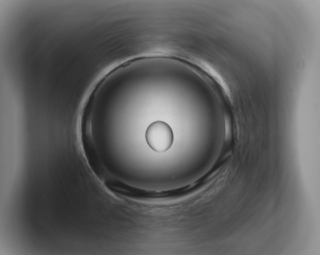 X0000102481480200808151439