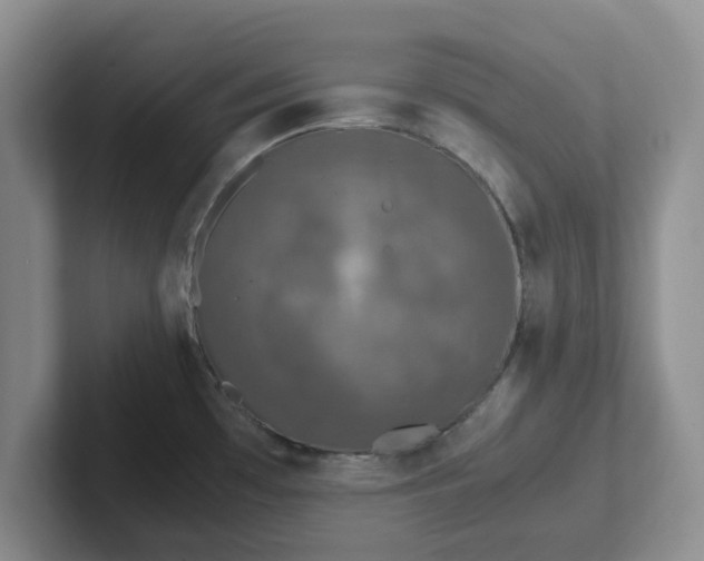 X0000102481481200808151439