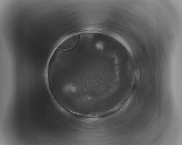 X0000102481482200808151439