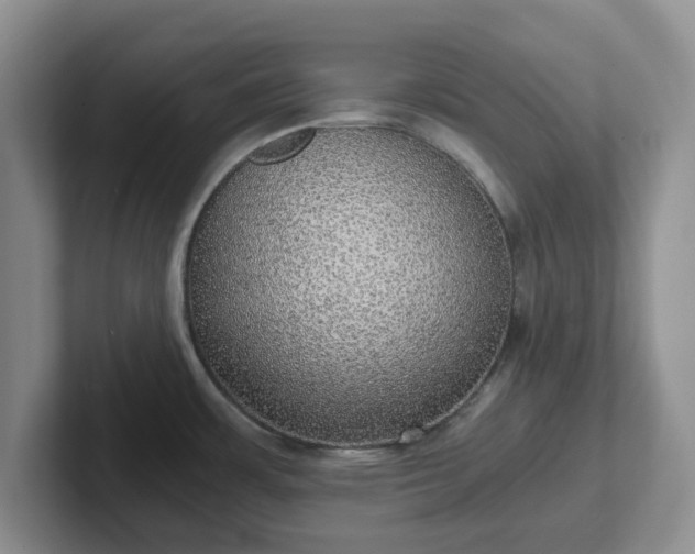 X0000102481483200808151439