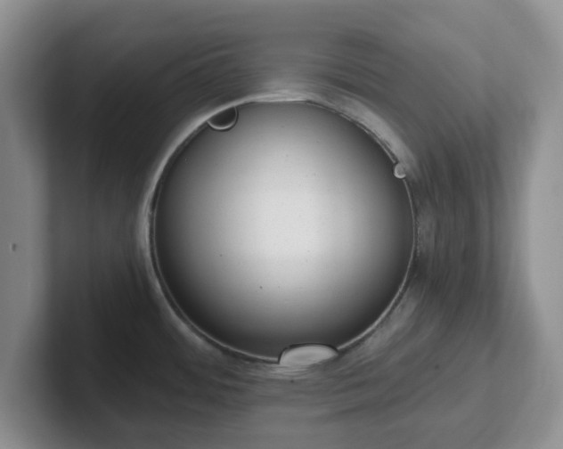 X0000102481484200808151439