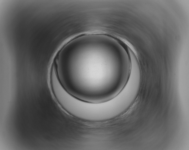 X0000102481485200808151439