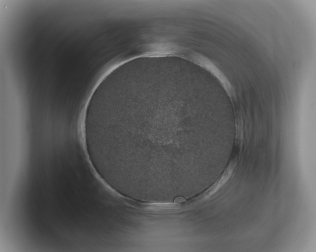 X0000102481487200808151439