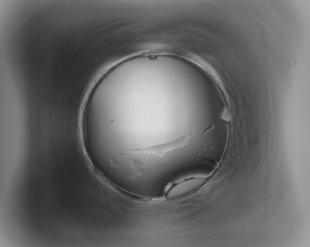 X0000102481488200808151439