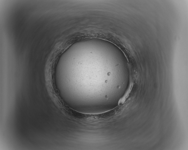 X0000102481489200808151438