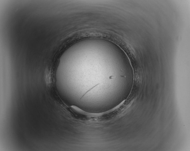 X0000102481490200808151438