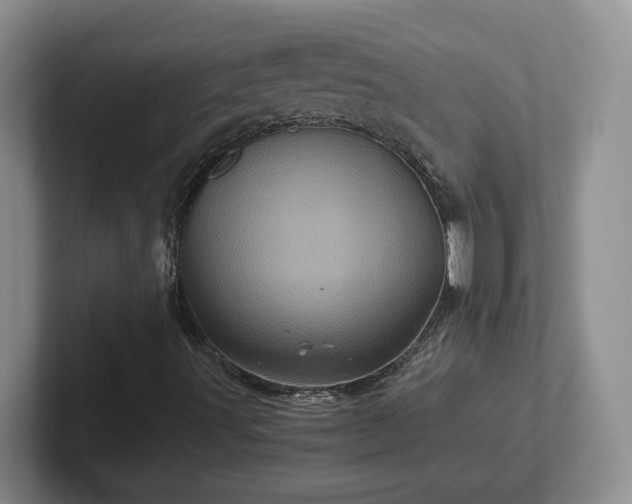 X0000102481491200808151438