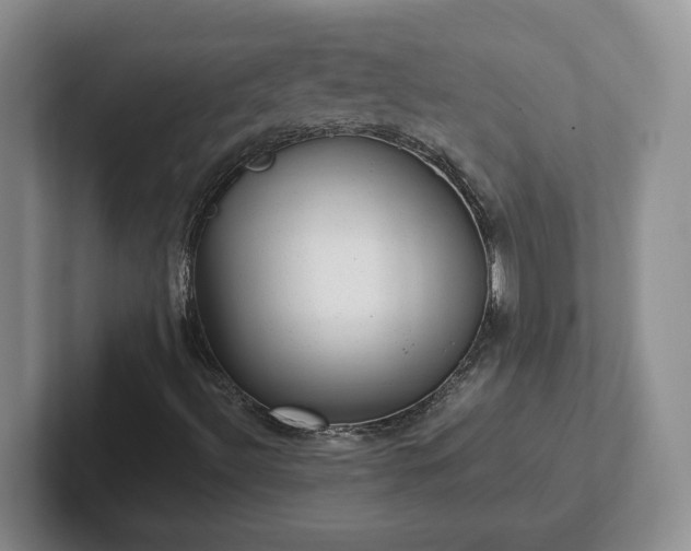 X0000102481492200808151438