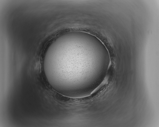 X0000102481493200808151438