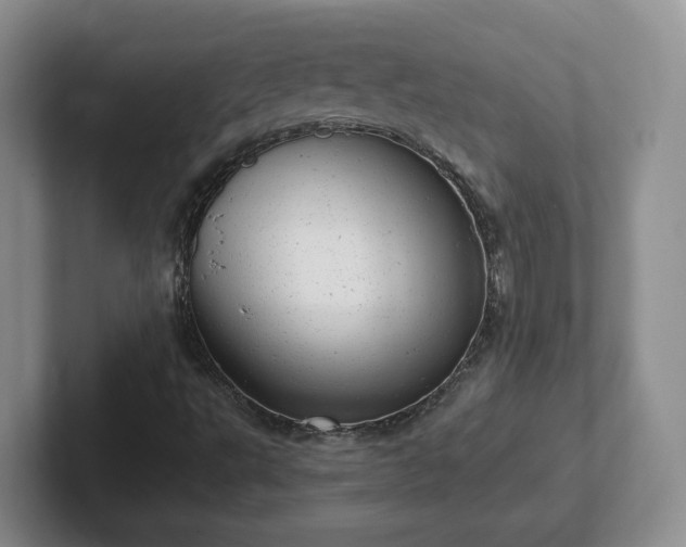 X0000102481495200808151438