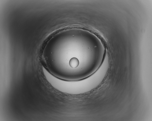 X0000102481496200808151438