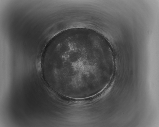 X0000102481497200808151438