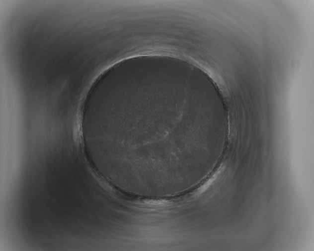 X0000102481498200808151438