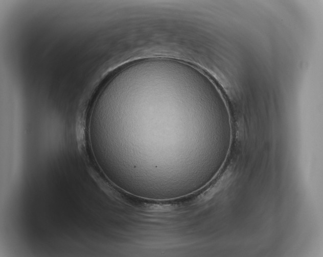 X0000102481499200808151438