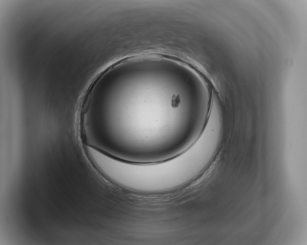 X0000102481500200808151439