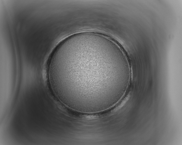 X0000102481501200808151439