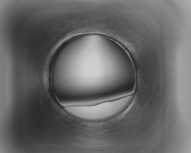 X0000102481502200808151439