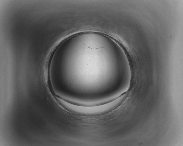 X0000102481504200808151439