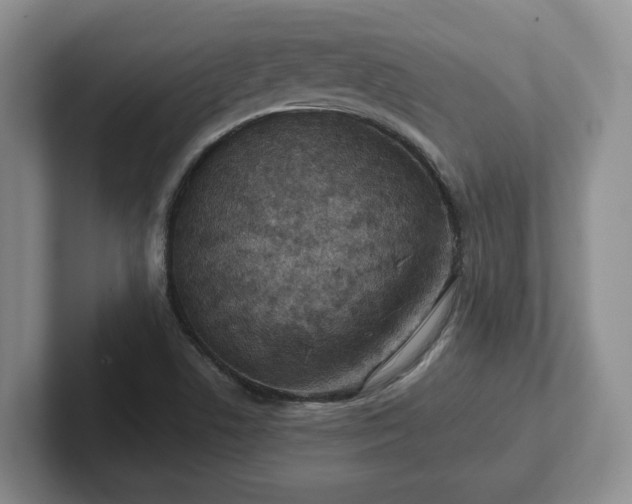 X0000102481506200808151439