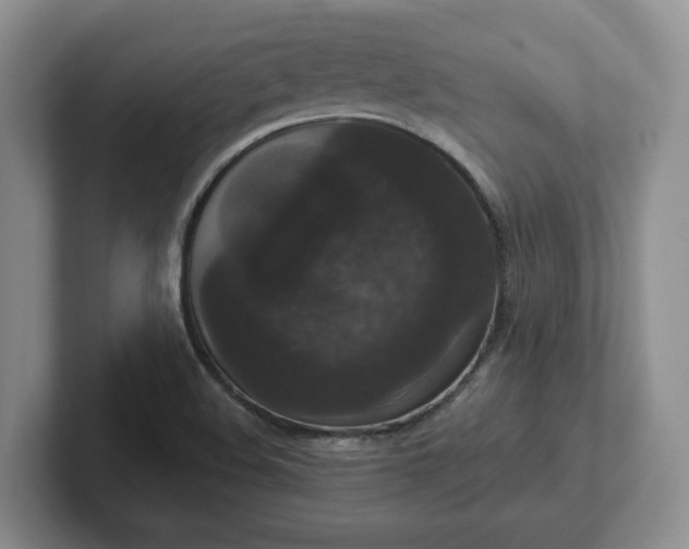 X0000102481508200808151439