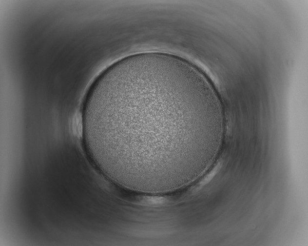 X0000102481509200808151439