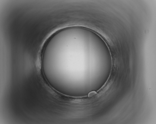 X0000102481510200808151439