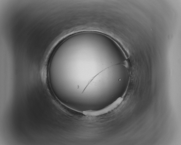 X0000102481511200808151439