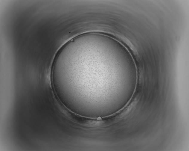 X0000102481513200808151439