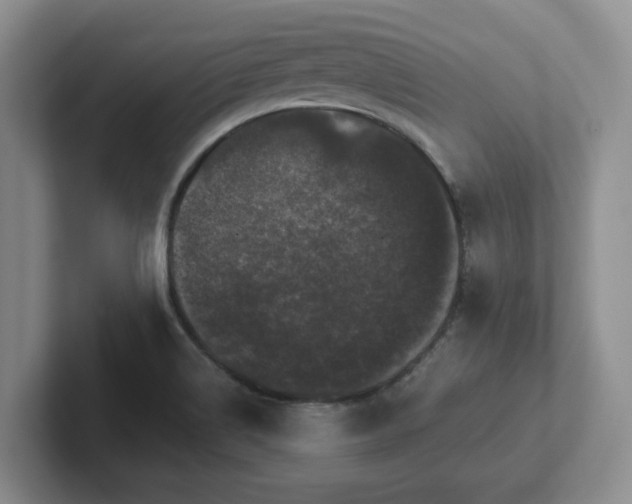 X0000102481514200808151439