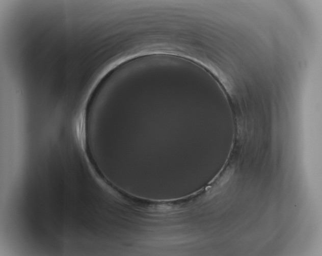 X0000102481515200808151439