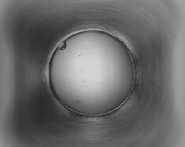 X0000102481516200808151439