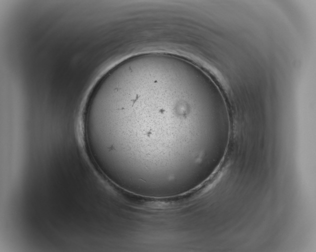 X0000102481517200808151439