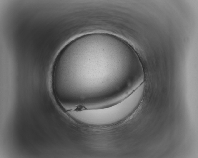 X0000102481518200808151439