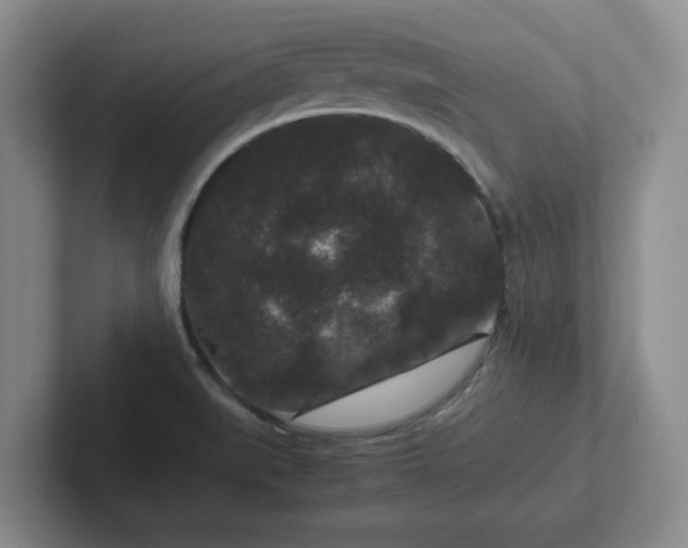 X0000102481519200808151439