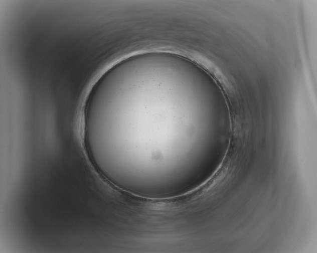 X0000102481520200808151439